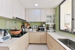 The Miltonia Residences (D27), Condominium #587150451
